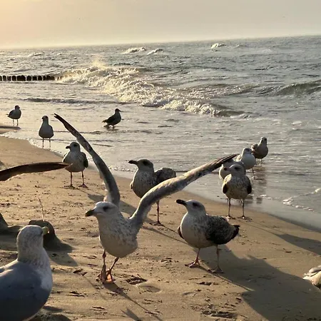 Reset Appartamento Gąski