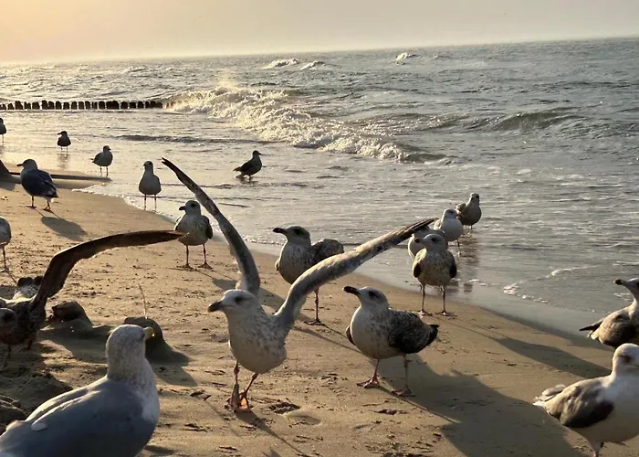 Reset Apartmán Gąski